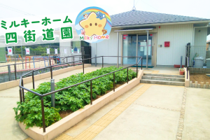 写真:【正社員】ミルキーホーム四街道園・保育士募集/四街道市