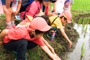 写真：【パート看護師】ミルキーホーム四街道園/週2日～/1日2時間～長時間も勤務可能/四街道市/車通勤OK/有給取得率100％